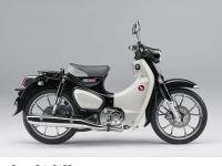 スーパーカブ C125（パールシャイニングブラック）