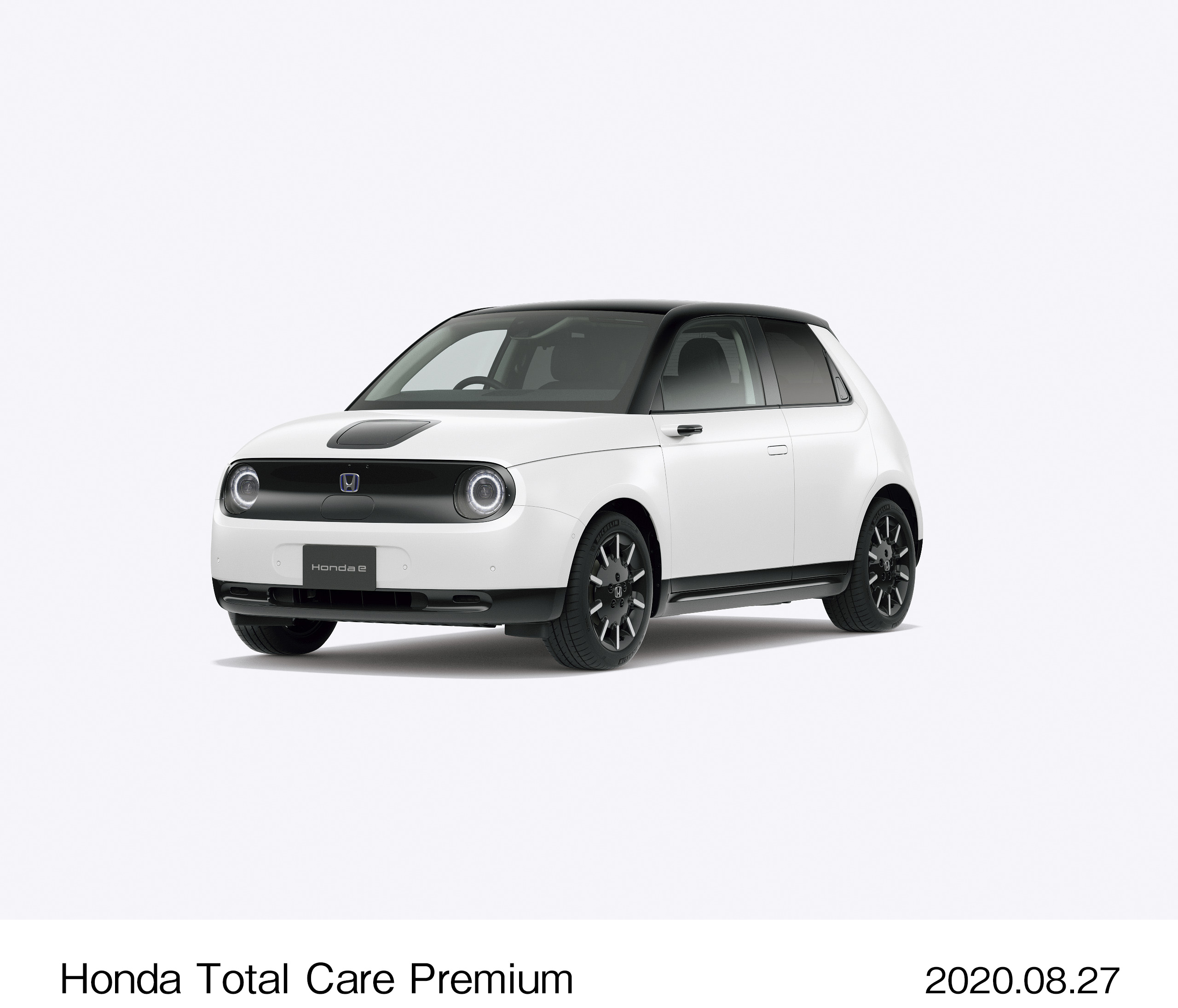 画像・動画ダウンロード