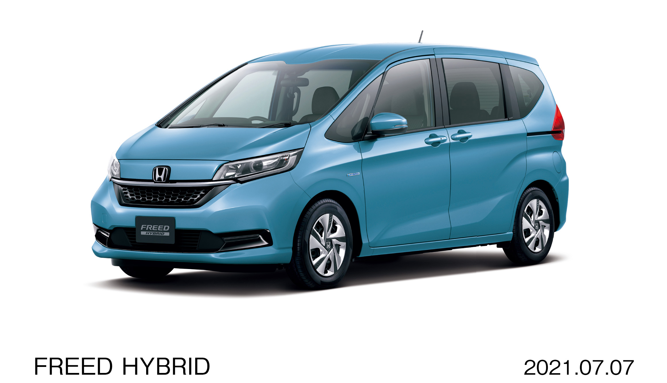 画像・動画ダウンロード