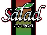 サ・ラ・ダ FF300 20周年記念ロゴ