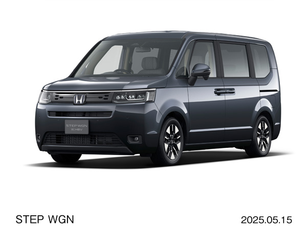 メテオロイドグレー・メタリック