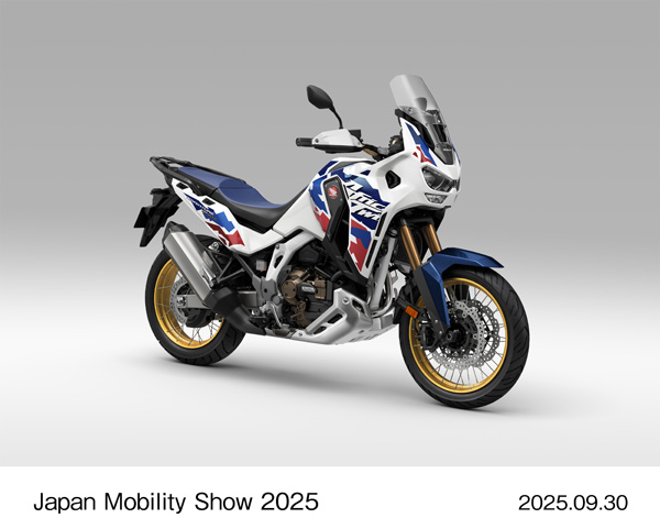CRF 1100L Africa Twin Adventure Sports ES (DCT)
