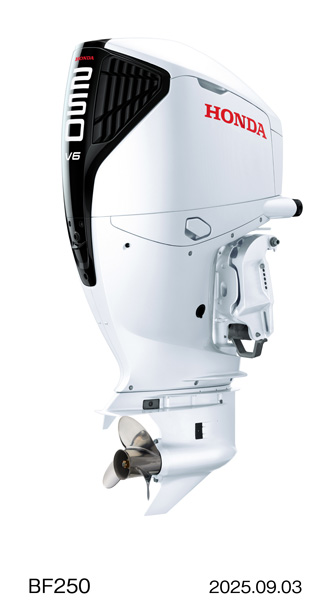 BF250（スポーティーホワイト）