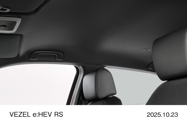 ルーフライニング（ブラック）