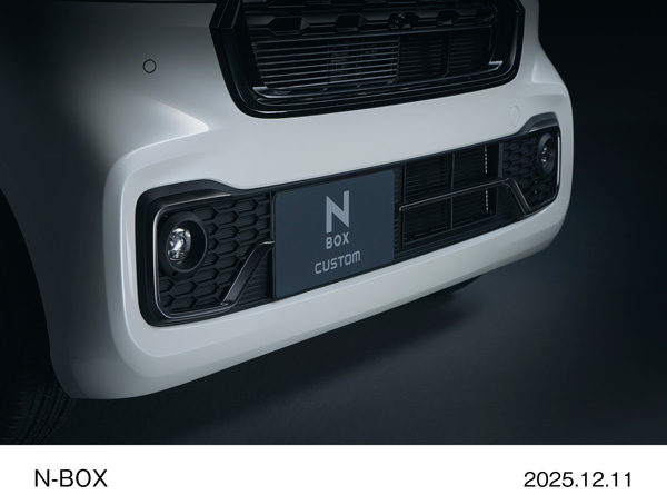 ベルリナブラック塗装　フォグライトガーニッシュ　CUSTOM ターボ　特別仕様車 BLACK STYLE（プラチナホワイト・パール）