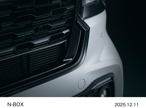 ベルリナブラック塗装　カスタムデザインフロントグリル　CUSTOM ターボ　特別仕様車 BLACK STYLE（プラチナホワイト・パール）