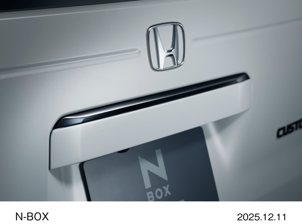 ベルリナブラック塗装　リアライセンスガーニッシュ　CUSTOM ターボ　特別仕様車 BLACK STYLE（プラチナホワイト・パール）