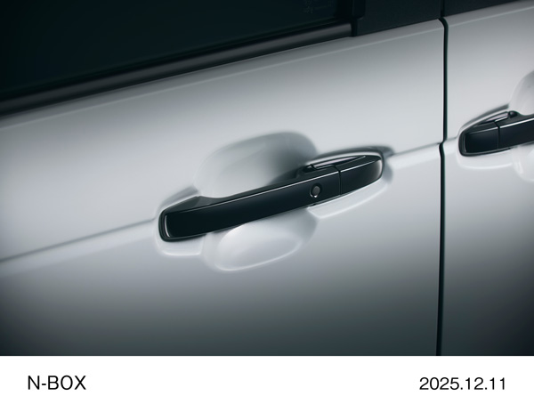 クリスタルブラック・パール塗装　アウタードアハンドル　CUSTOM ターボ　特別仕様車 BLACK STYLE（プラチナホワイト・パール）