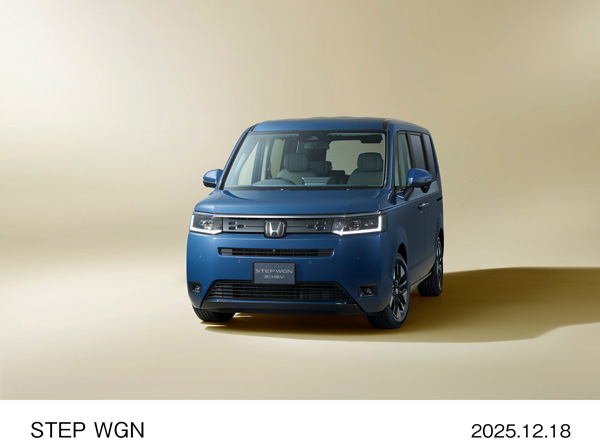 STEP WGN 30周年特別仕様車 AIR EX