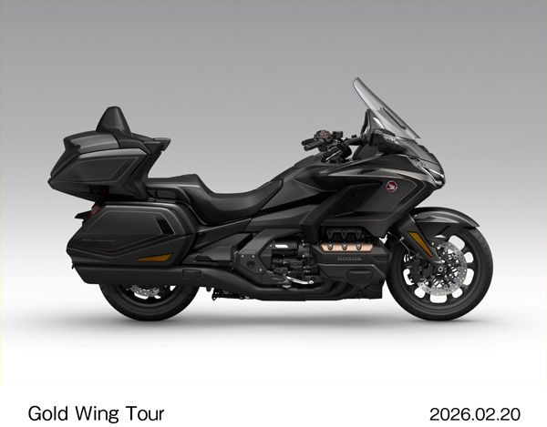 Gold Wing Tour（ガンメタルブラックメタリック）
