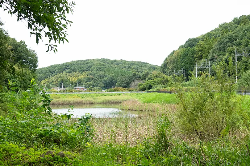 敷地内の貯水池