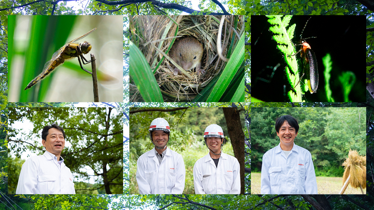 生物多様性保全に向けた取り組み　Hondaの生産拠点初・埼玉製作所が「自然共生サイト」の認定を取得