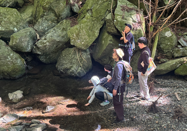 上流域に位置する水源の散策