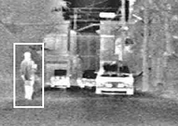 Hondaインテリジェント・ナイトビジョンシステム による映像