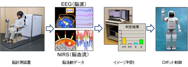 新開発のBMIを用いた実験の概要