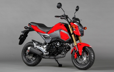 GROM(参考出品車・市販予定車)