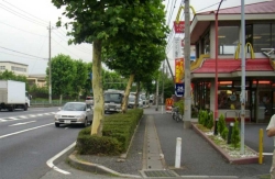 対策後：街路樹を剪定して見通しを確保 (国道254号 和光市)