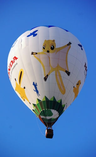 New Balloon 「モモンゴー」