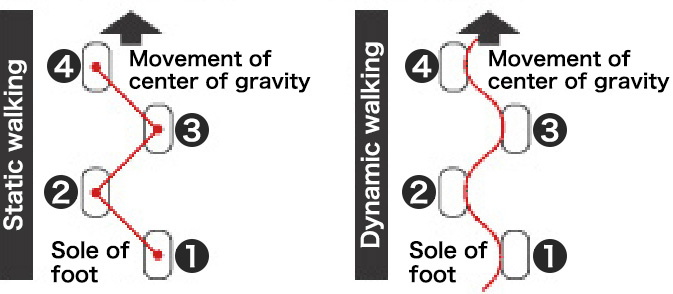 Static walking and dynamic walking