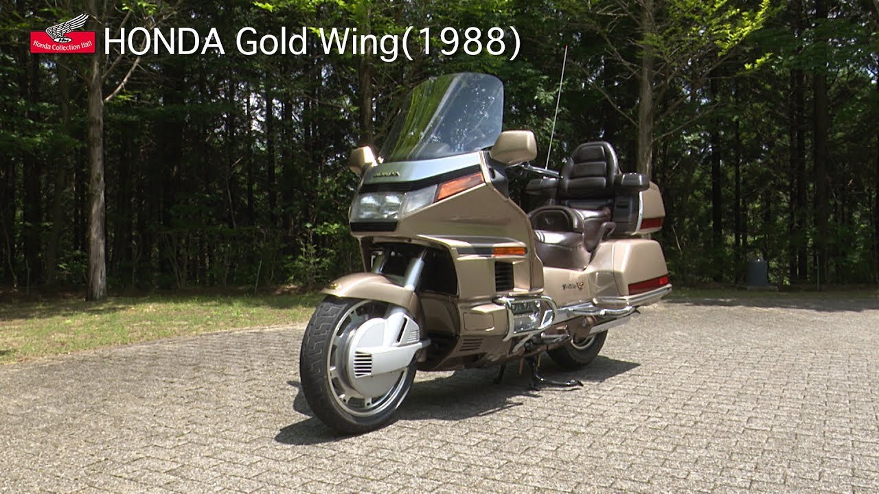 Gold Wing GL1500 in Action