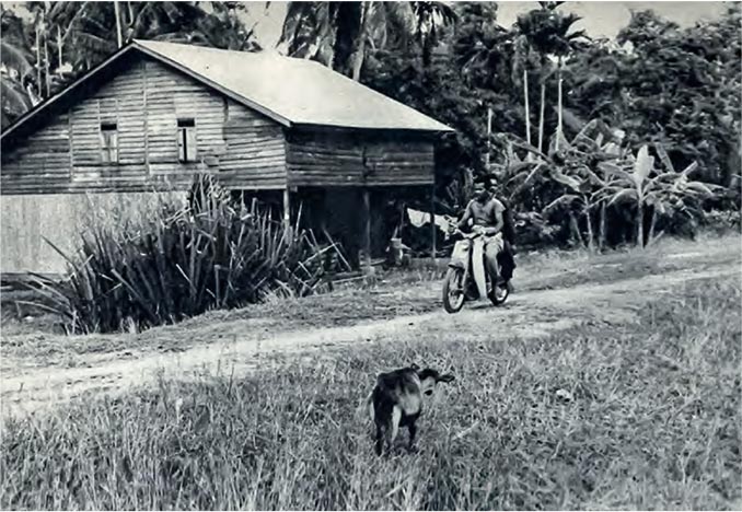 Rural landscape in Malaysia (1964)