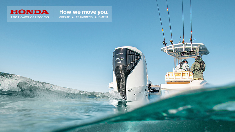 2506_virtual_BF250_thumb