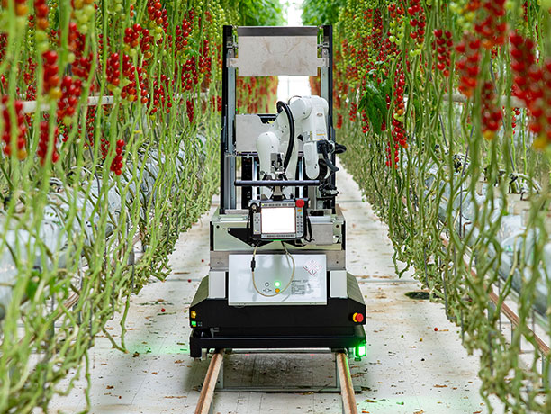 Fully Automated Harvesting Robot