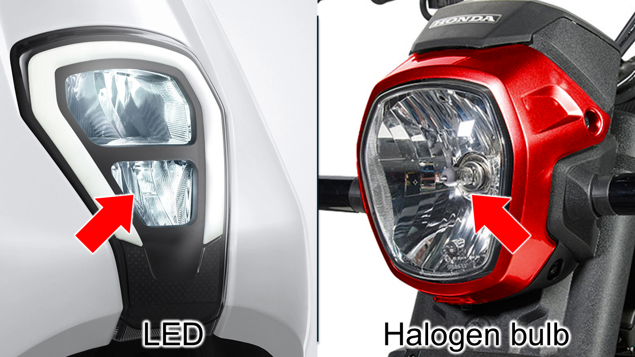 Head light / Turn signals