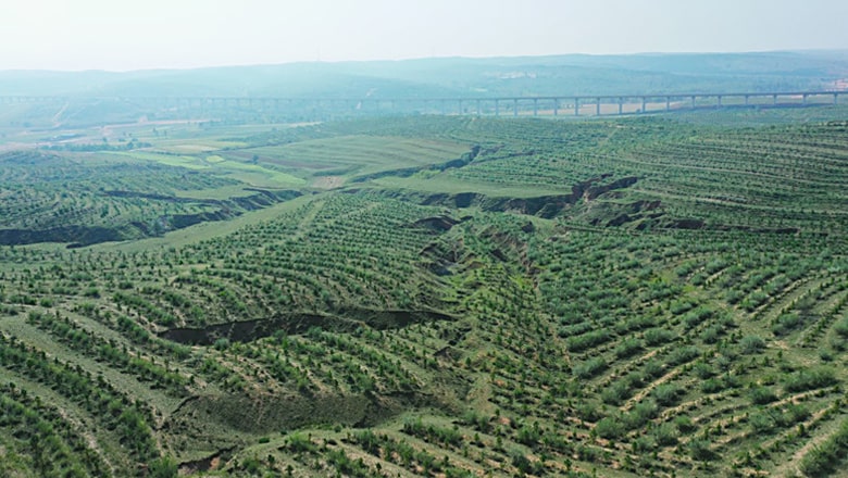 Long-Term Afforestation Activities in the Severe Desertification of the Inner Mongolia Autonomous Region