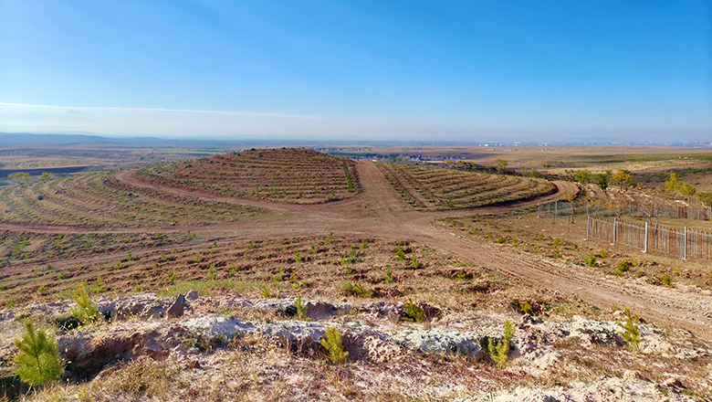 Long-term Tree-planting Activities in Inner Mongolia Autonomous Region and Mangrove Ecology Conservation Project