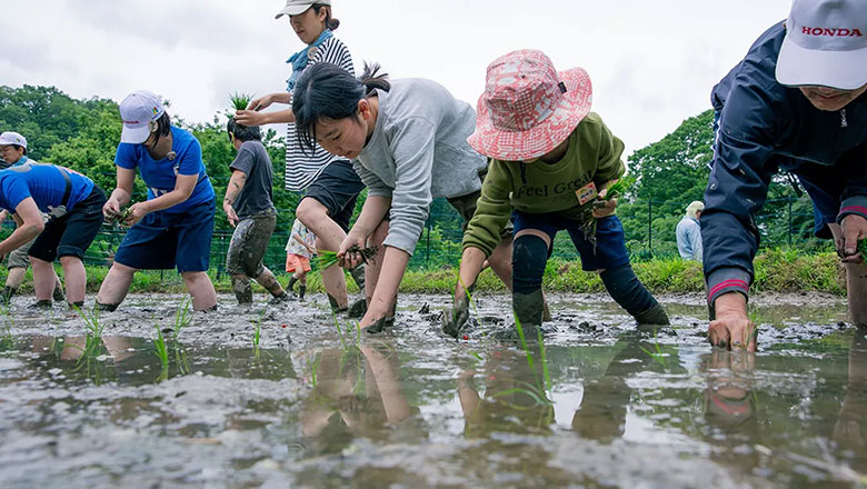 Activities to Conserve Satoyama Landscapes in Kamikawa no Sato, Hachioji City