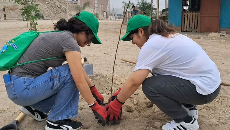 Associate Tree-Planting Activity in Peru
