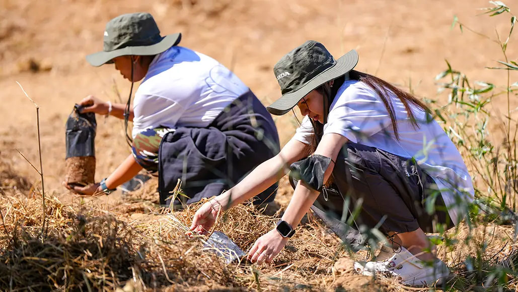 Creating Salt Licks in Thailand to Save Wildlife and Elephants