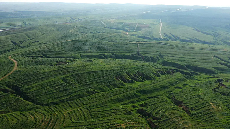 Long-term Afforestation Project in the Inner Mongolia Autonomous Region and Mangrove Ecological Protection Project