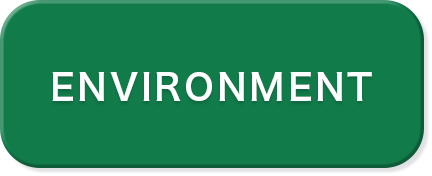 ENVIRONMENT