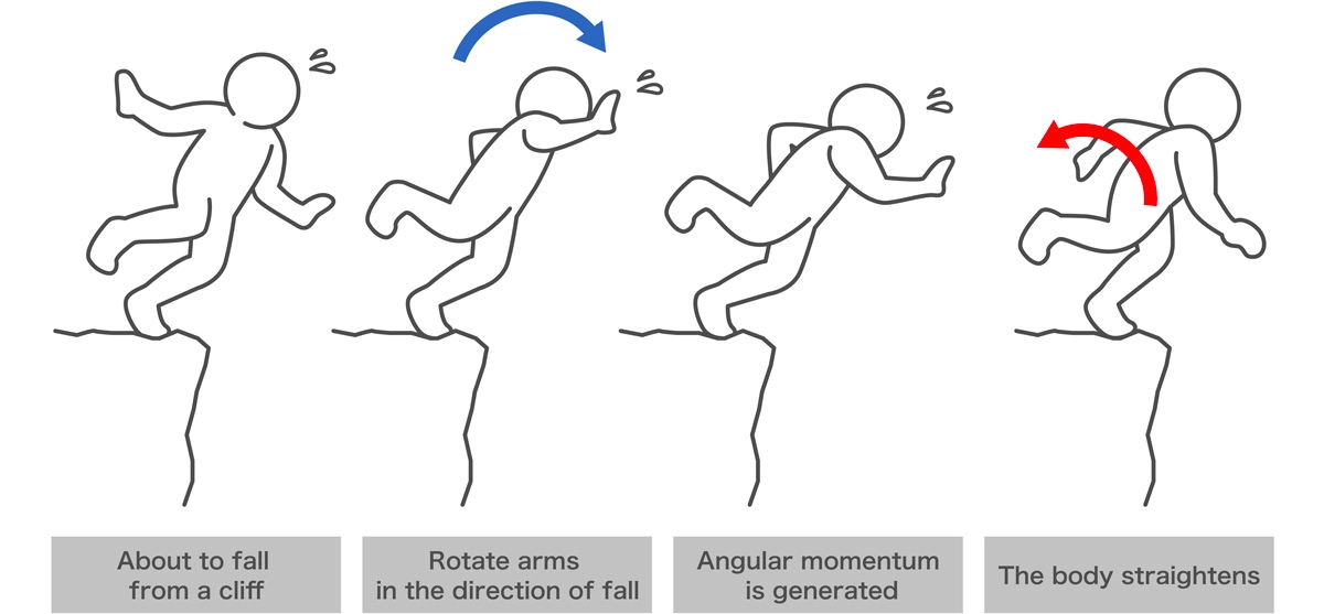 The law of conservation of angular momentum