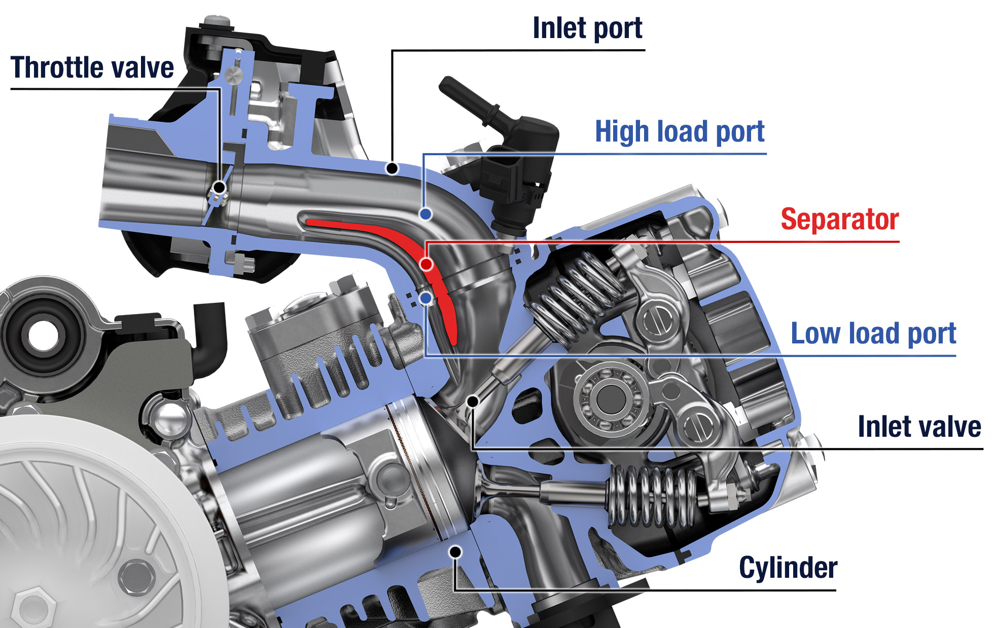 Cross-sectional image of the eSTT