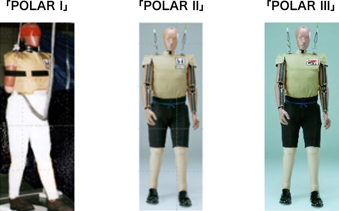 Pedestrian Crash Test Dummies