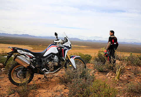 Africa Twin  (Dual Clutch Transmission)