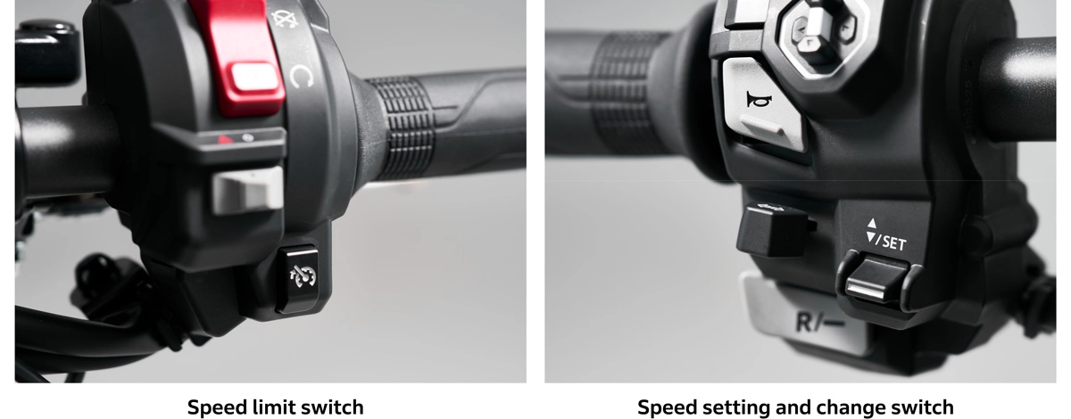 Speed limit switch, Speed setting and change switch