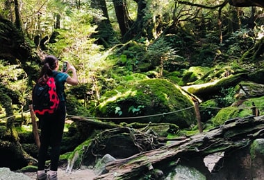 プライベートの写真