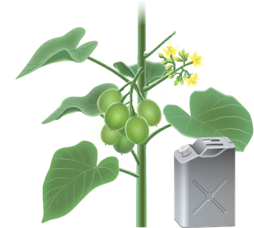 バイオマス由来燃料