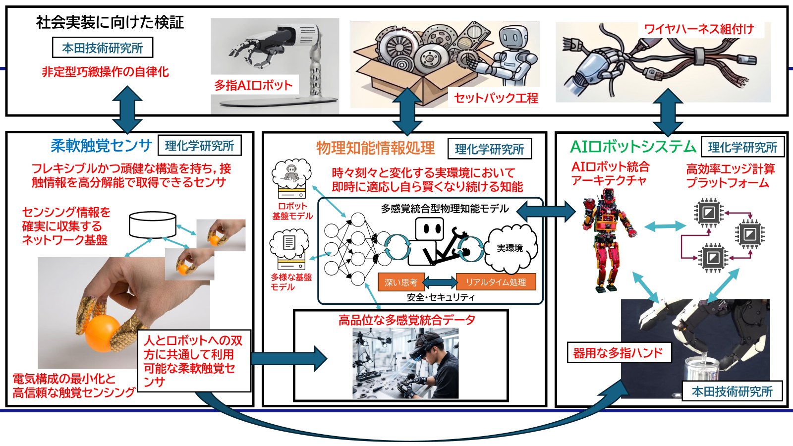 プロジェクトの実施体制図：社会実装に向けた検証（本田技術研究所）、柔軟触覚センサ・物理知能情報処理・AIロボットシステム（理化学研究所）