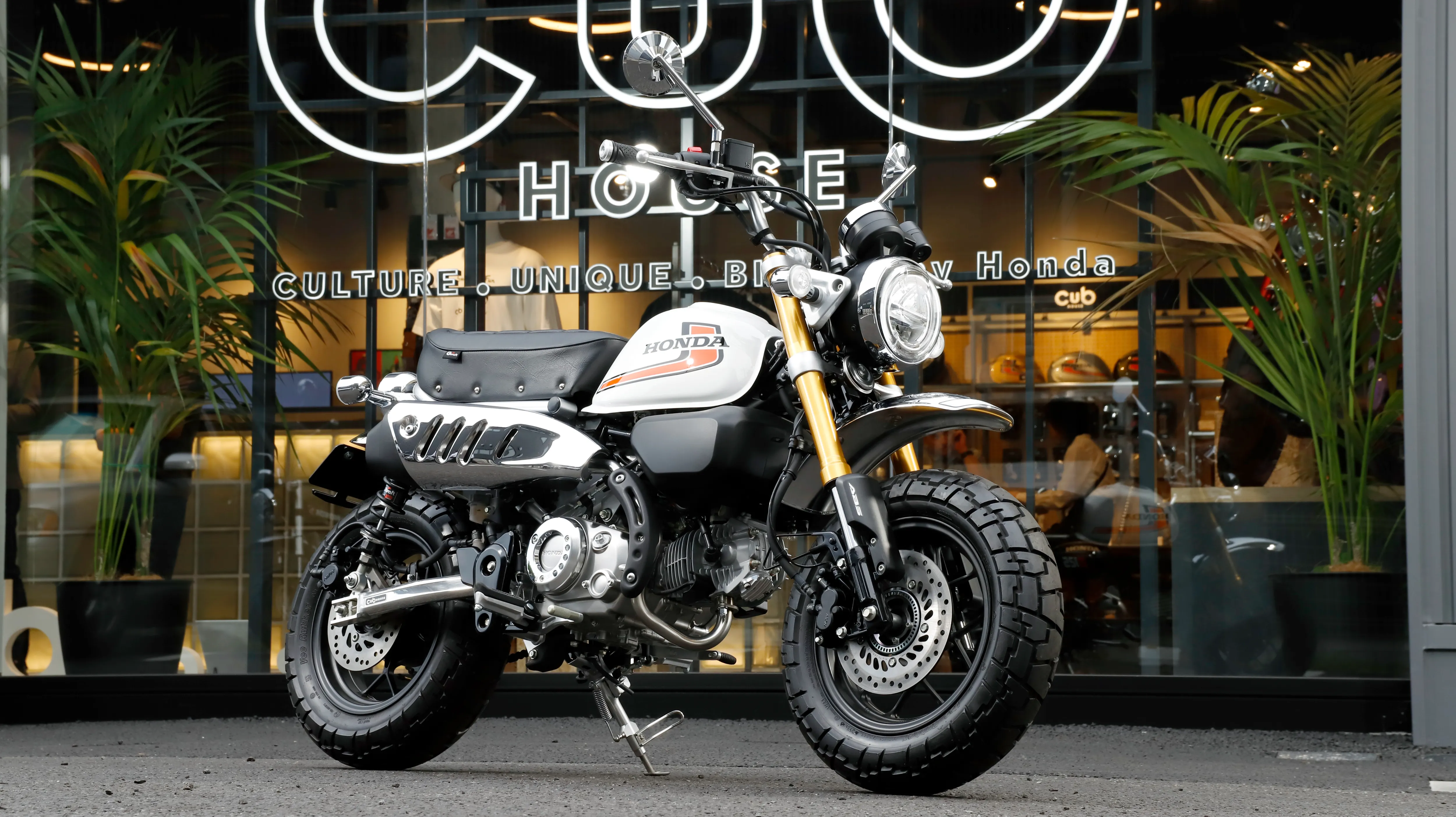Monkey125