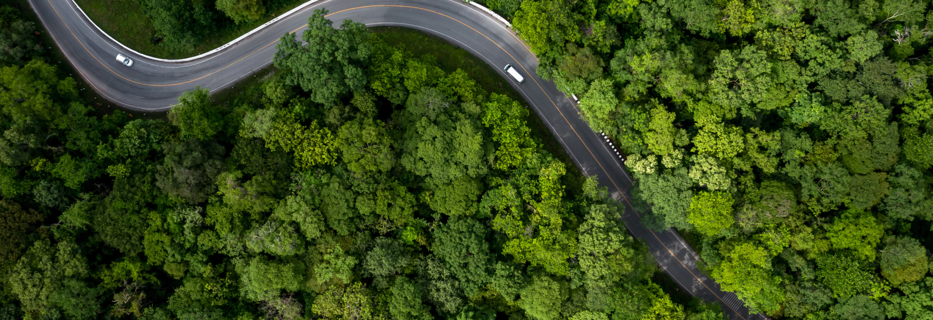 環境マネジメント