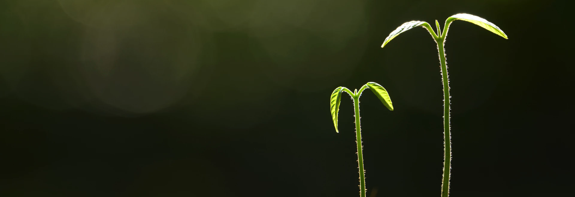 日本国内の環境取り組み報告