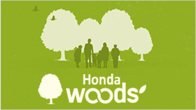 Honda Woods