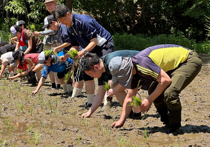 ビオトープを活用した地域住民と従業員による田植え活動（寄居工場）