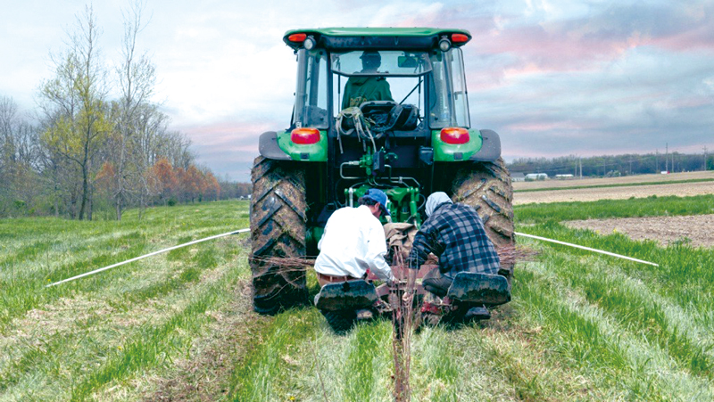 〈米国〉Honda Power of Dreams Forest