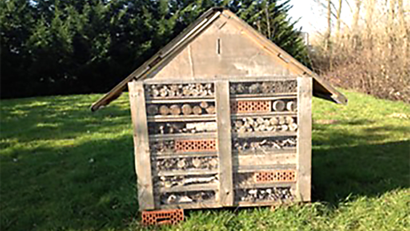 〈ベルギー〉物流拠点の生物多様性の保全